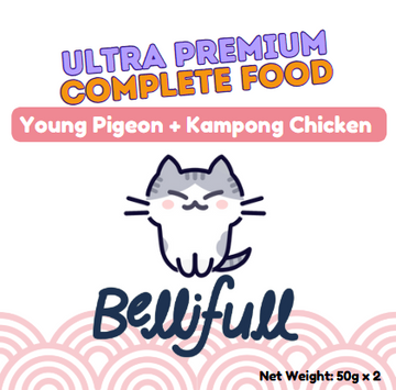 Young Pigeon + Kampong Chicken