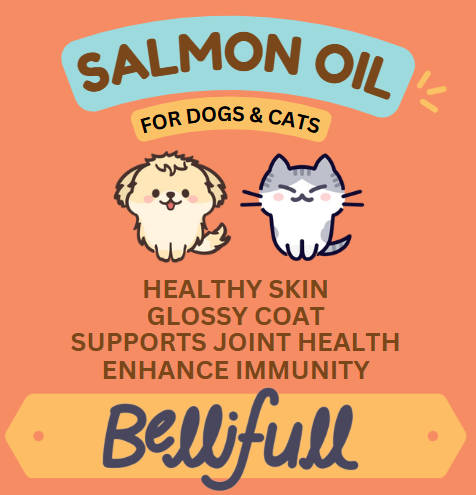 Wild Salmon Oil