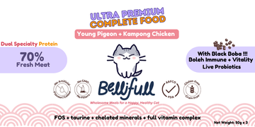 Bellifull Young Pigeon & Kampong Chicken