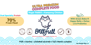 Bellifull Rogger Rabbit & Kampong Chicken