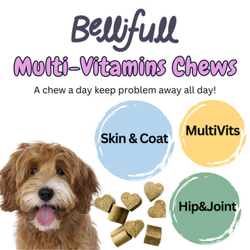 BelliFull Skin & Coat Chews Multi-vitamins Chew Hip & Joint Chews 120chews/300g